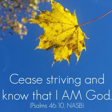 Cease-striving-with-leaf